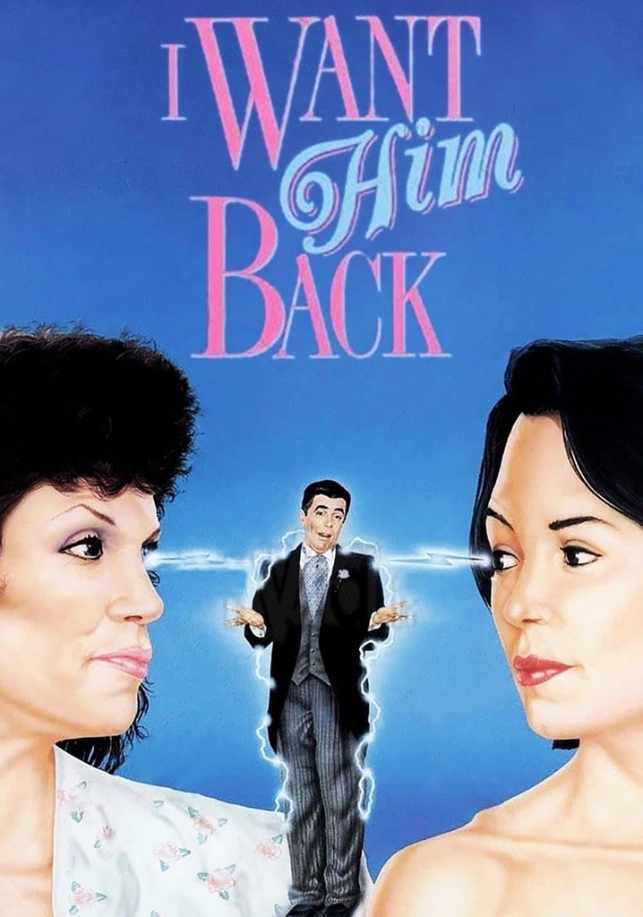 Stolen: One Husband poster