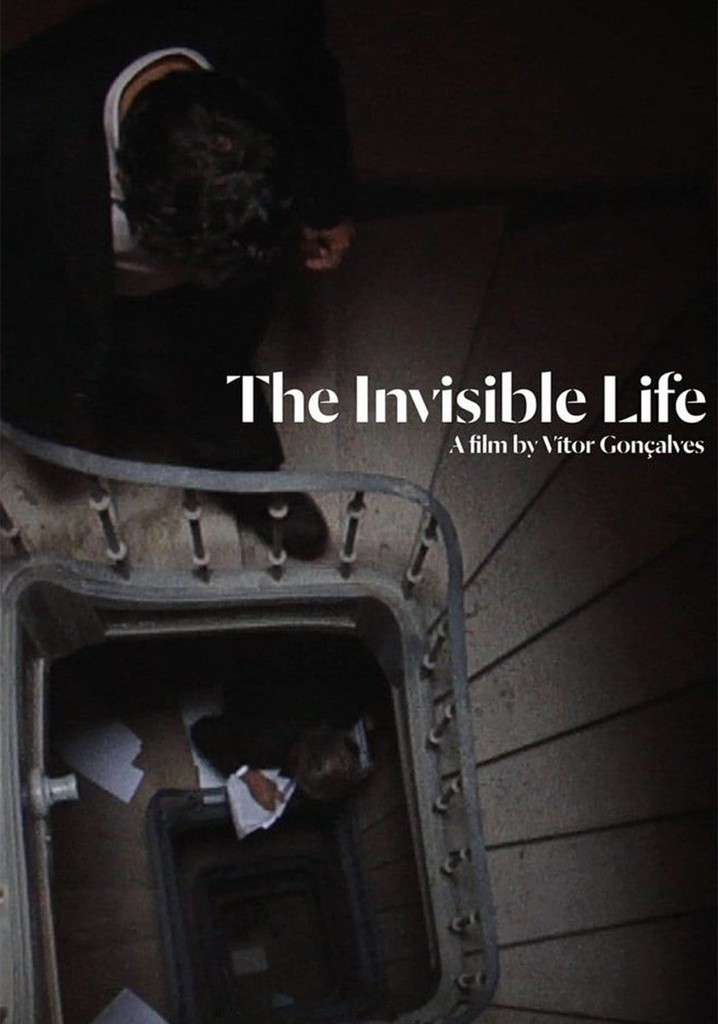 The Invisible Life poster