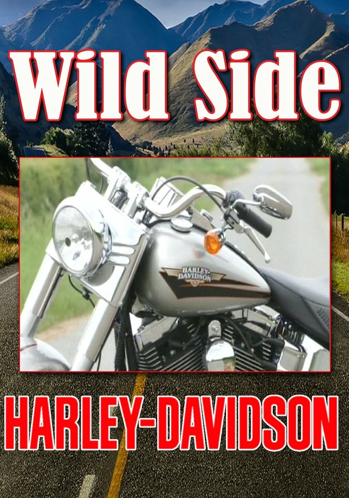 Ride On The Wild Side: Harley Davidson poster