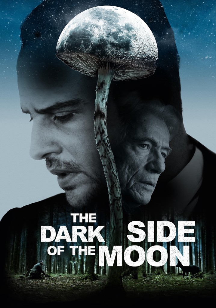 The Dark Side of the Moon poster