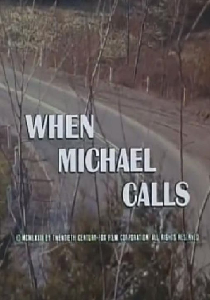 When Michael Calls poster