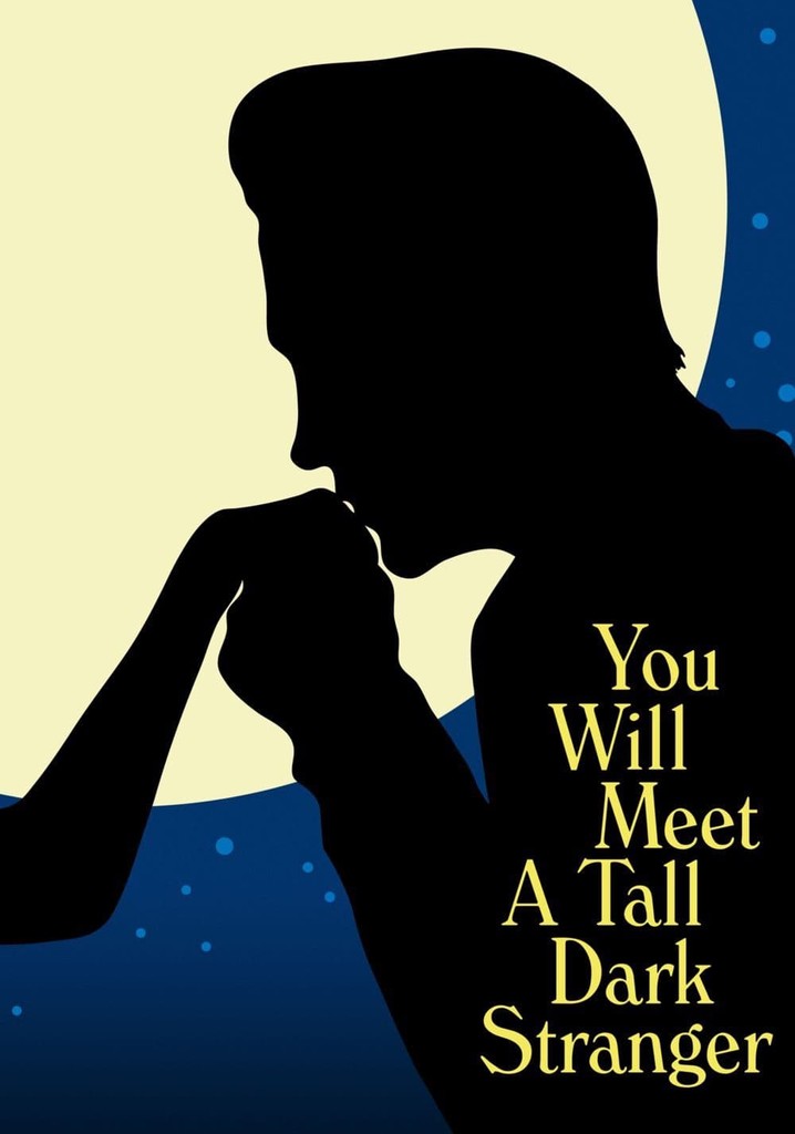 You Will Meet a Tall Dark Stranger poster