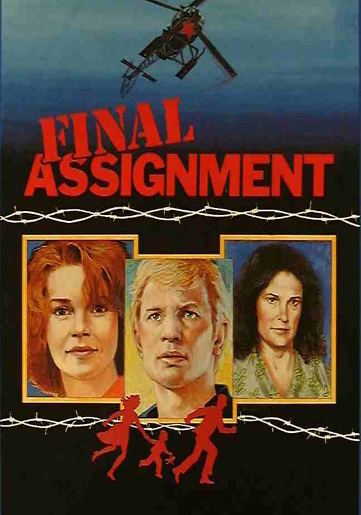 Final Assignment poster