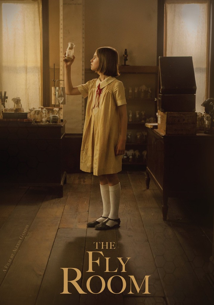 The Fly Room poster