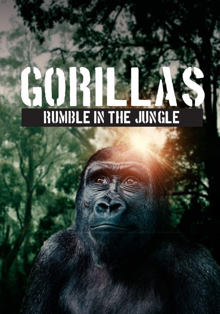 Gorillas: Rumble in the Jungle poster