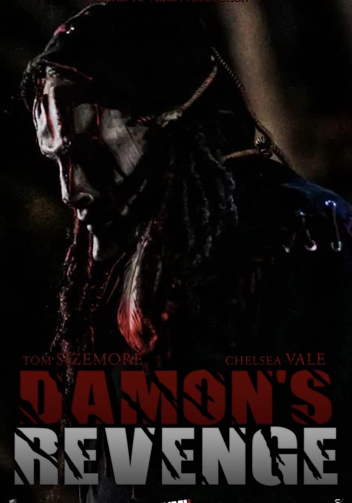 Damon's Revenge poster