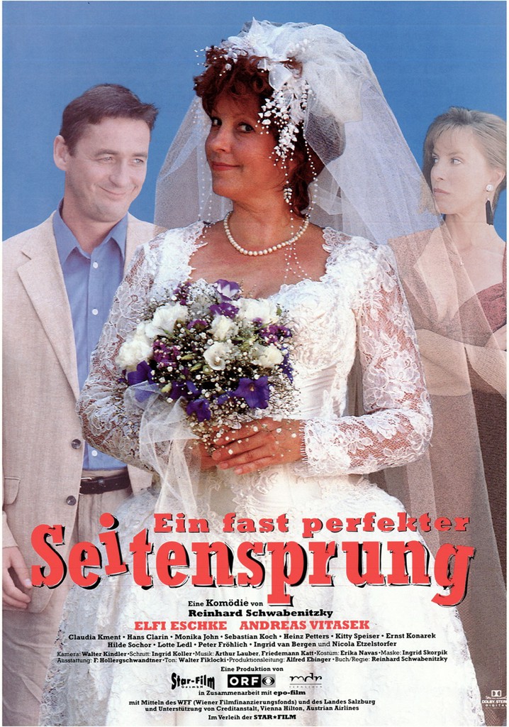 Ein fast perfekter Seitensprung poster