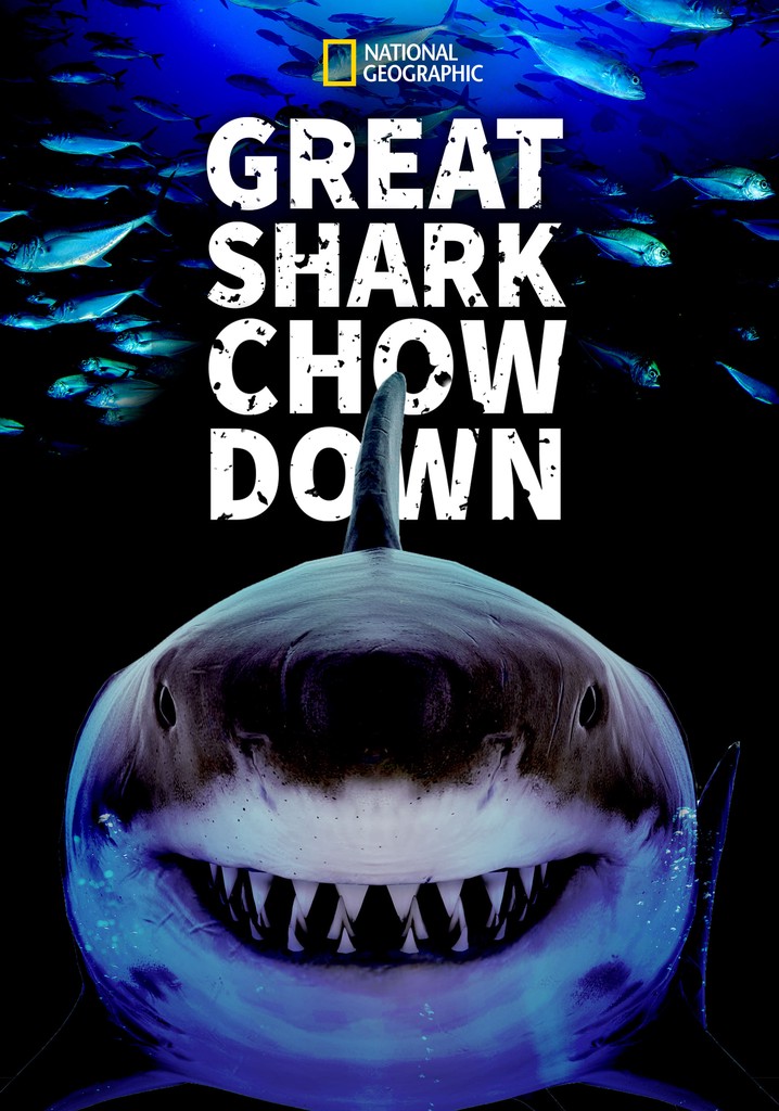 Great Shark Chow Down poster