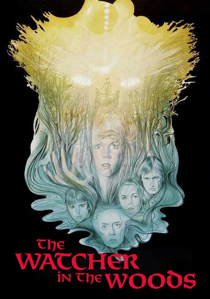 The Watcher in the Woods poster