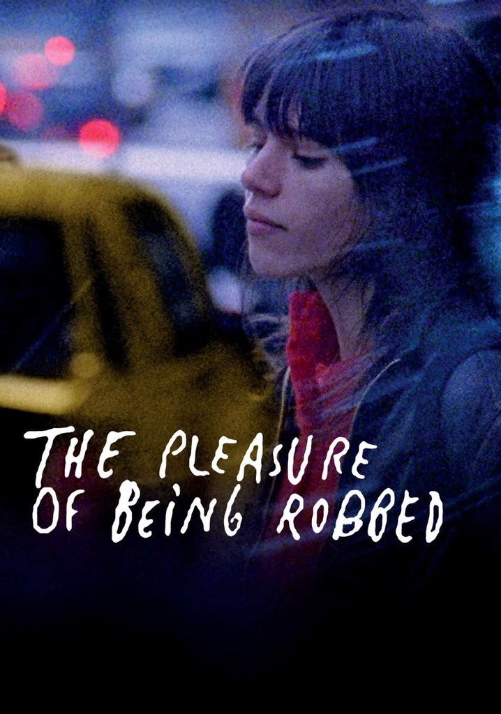 The Pleasure of Being Robbed poster