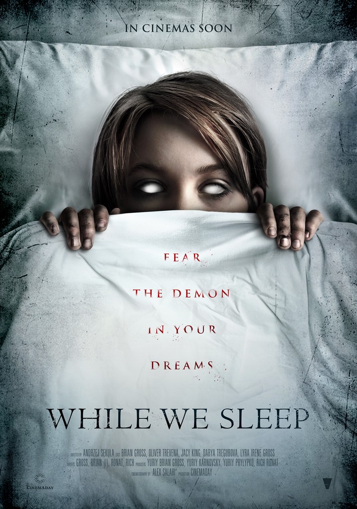 While We Sleep poster