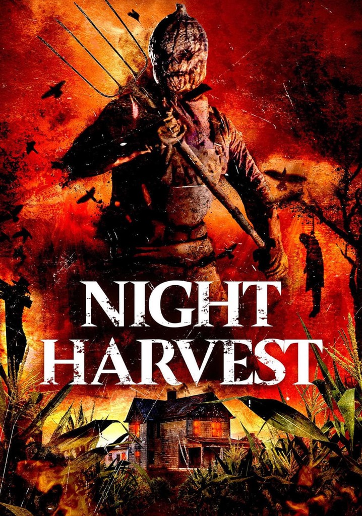 Night Harvest poster