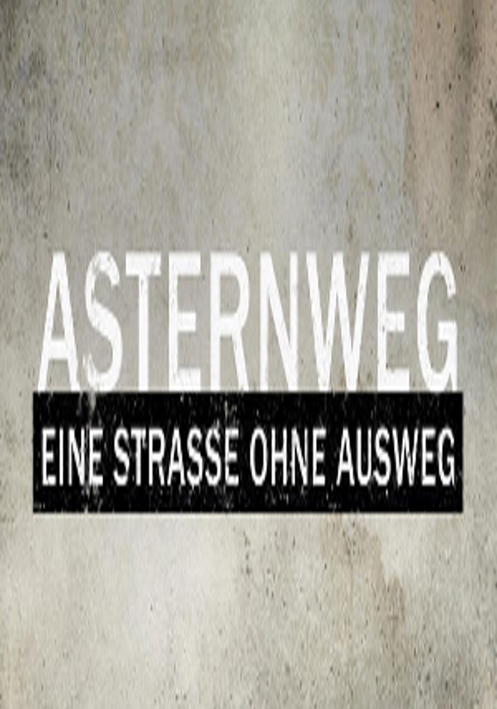 Asternweg - Eine Straße ohne Ausweg poster