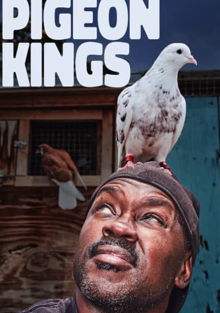 Pigeon Kings poster