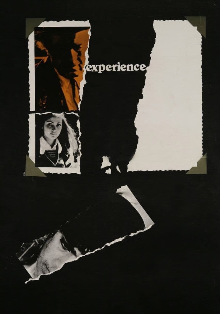 The Experience poster