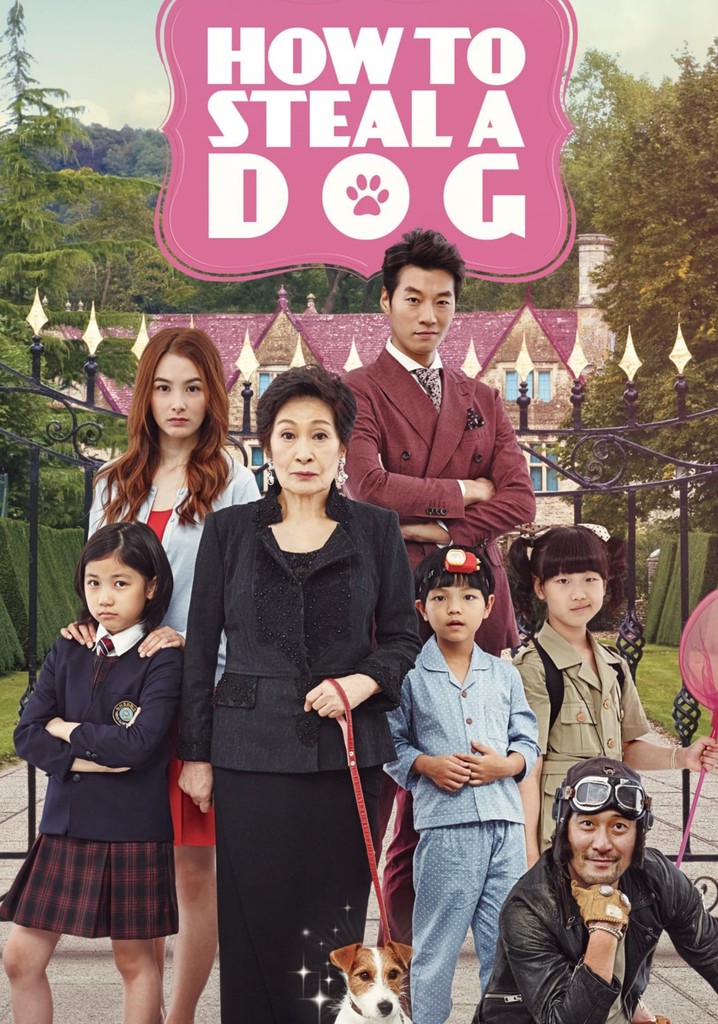 How to Steal a Dog poster