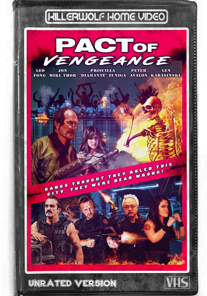 Pact of Vengeance poster