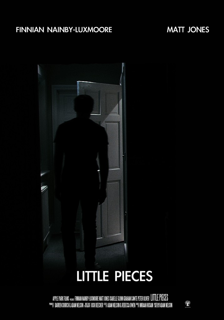 Little Pieces poster