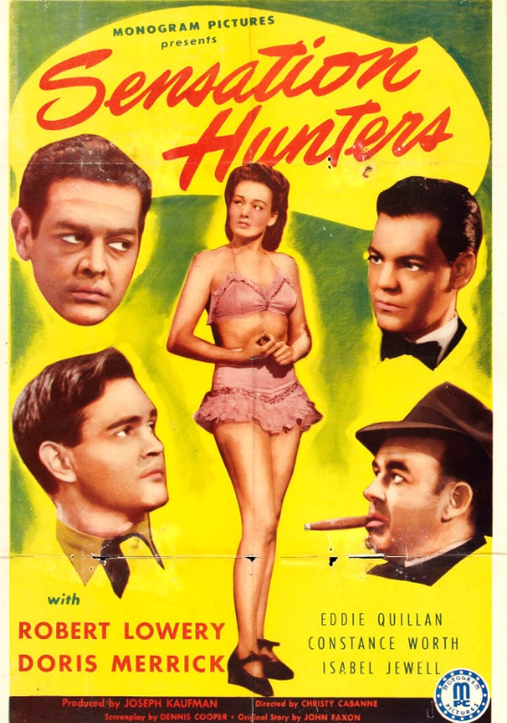 Sensation Hunters poster