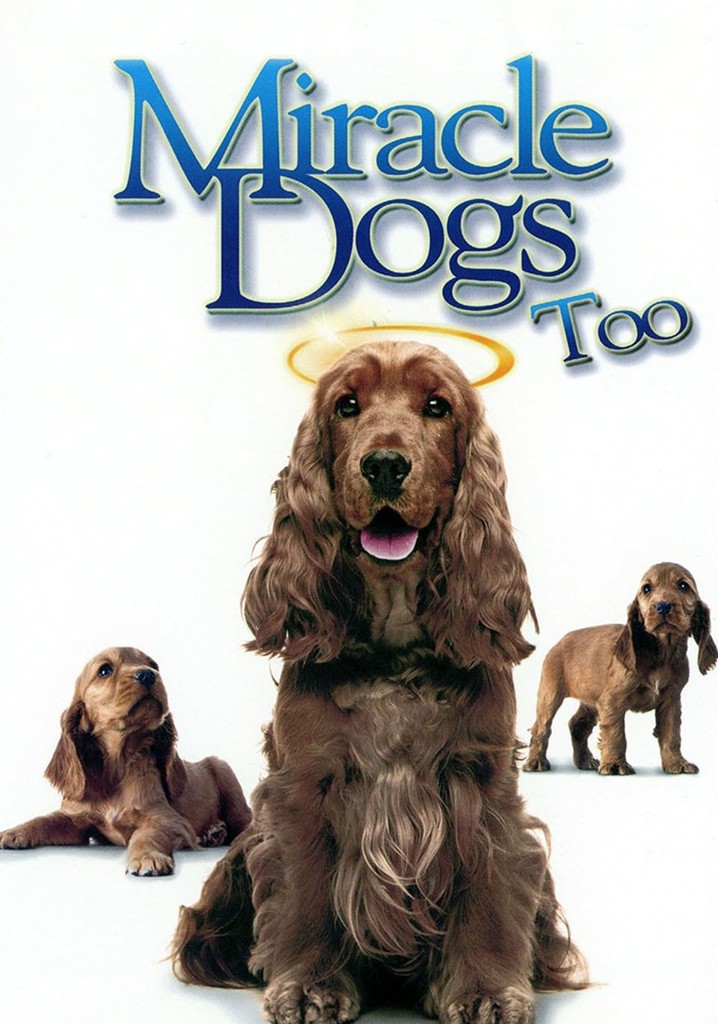 Miracle Dogs Too poster