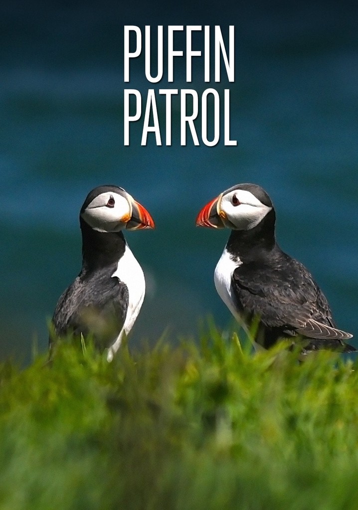 Puffin Patrol poster