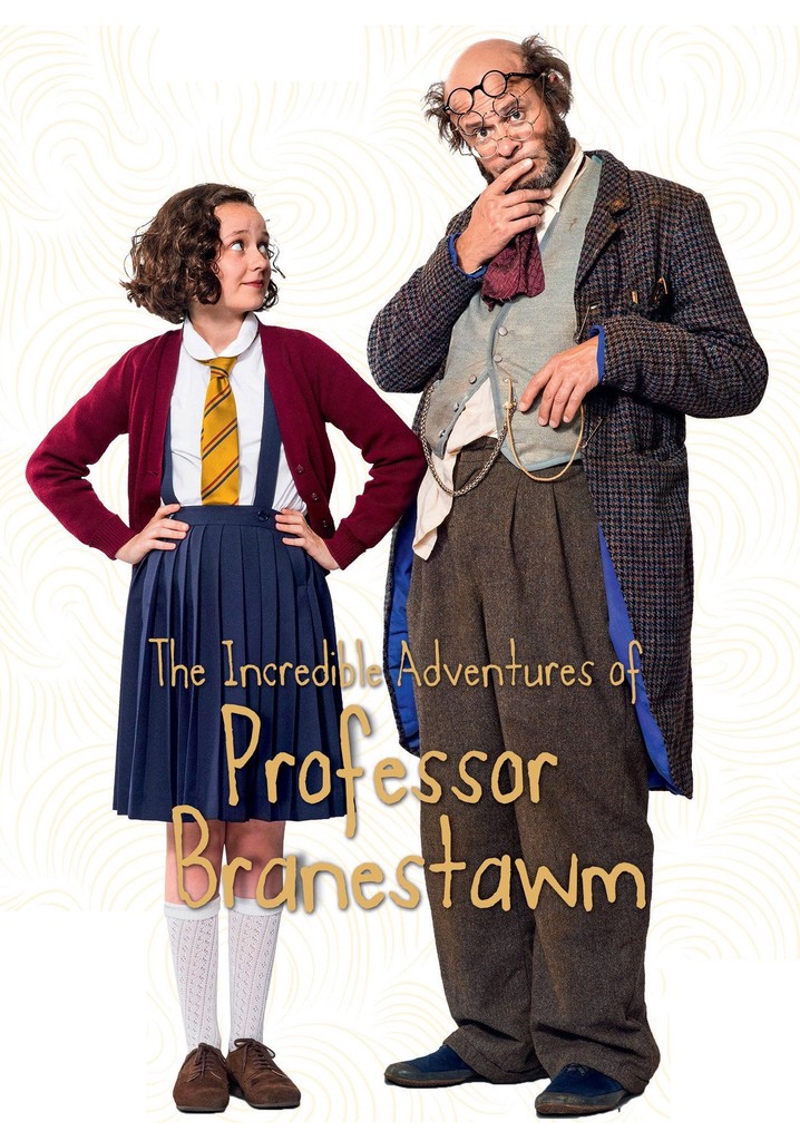 The Incredible Adventures Of Professor Branestawm poster