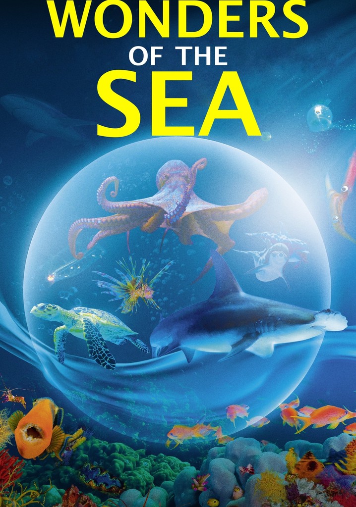 Wonders of the Sea poster
