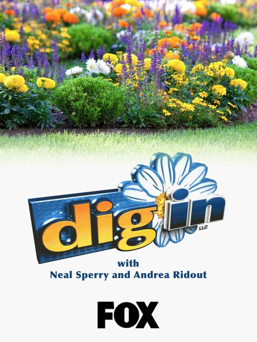 Dig In poster