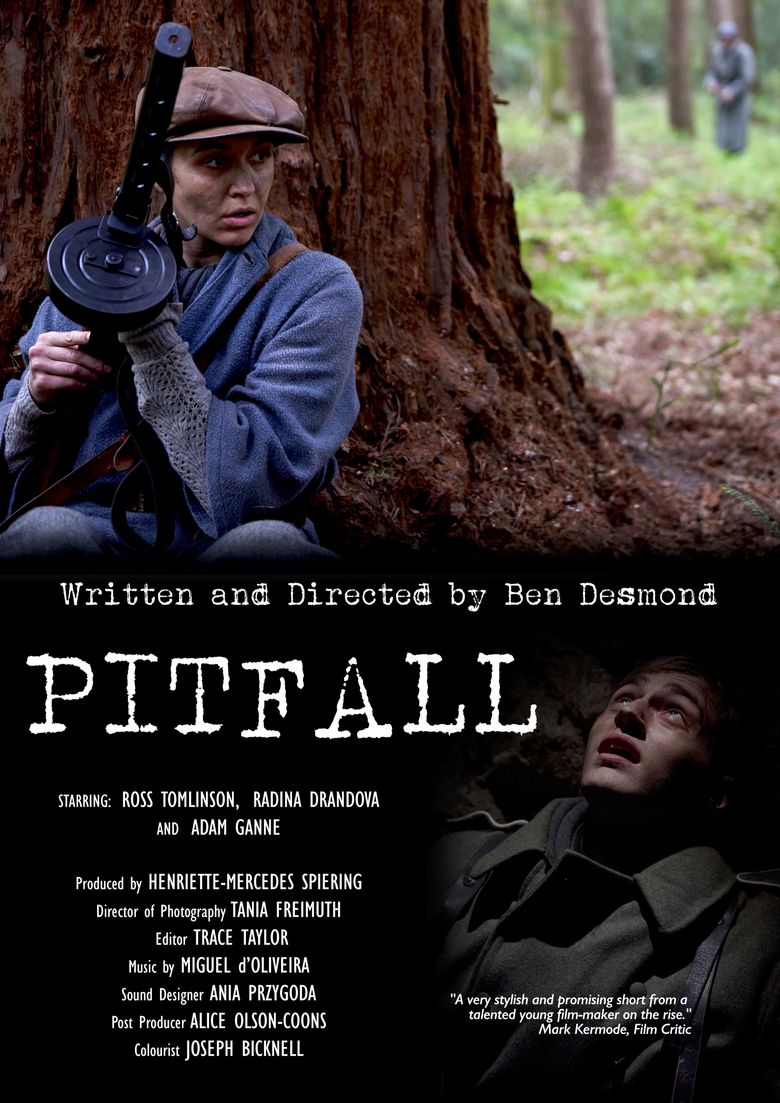 Pitfall poster