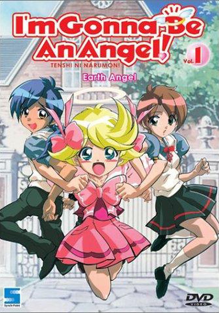 I'm Gonna Be An Angel! poster
