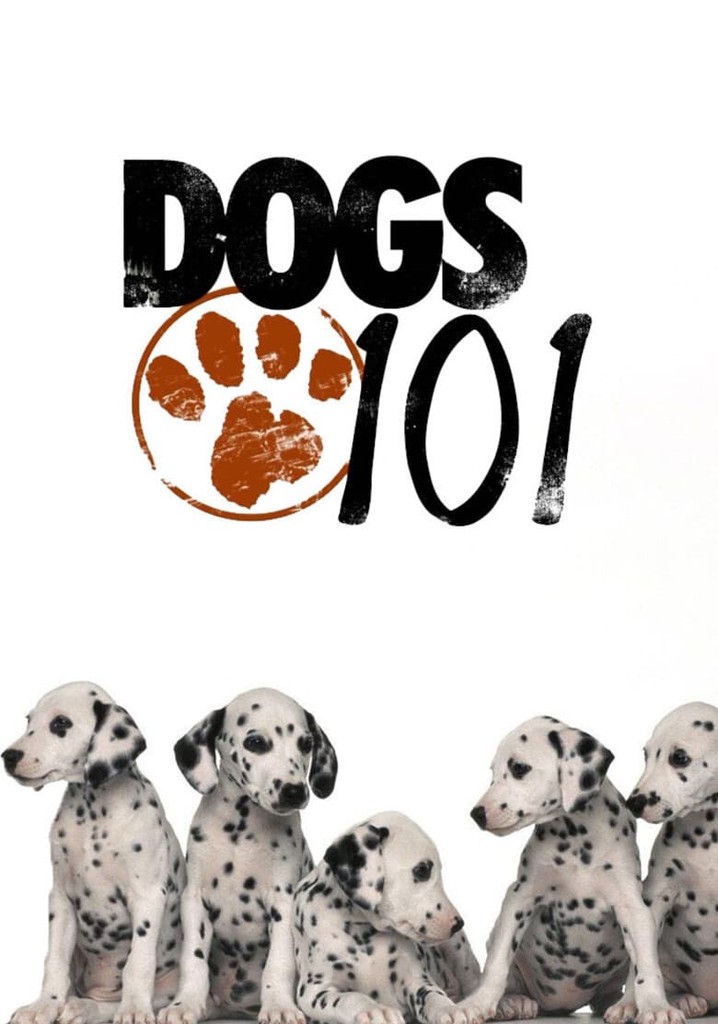 Dogs 101 poster