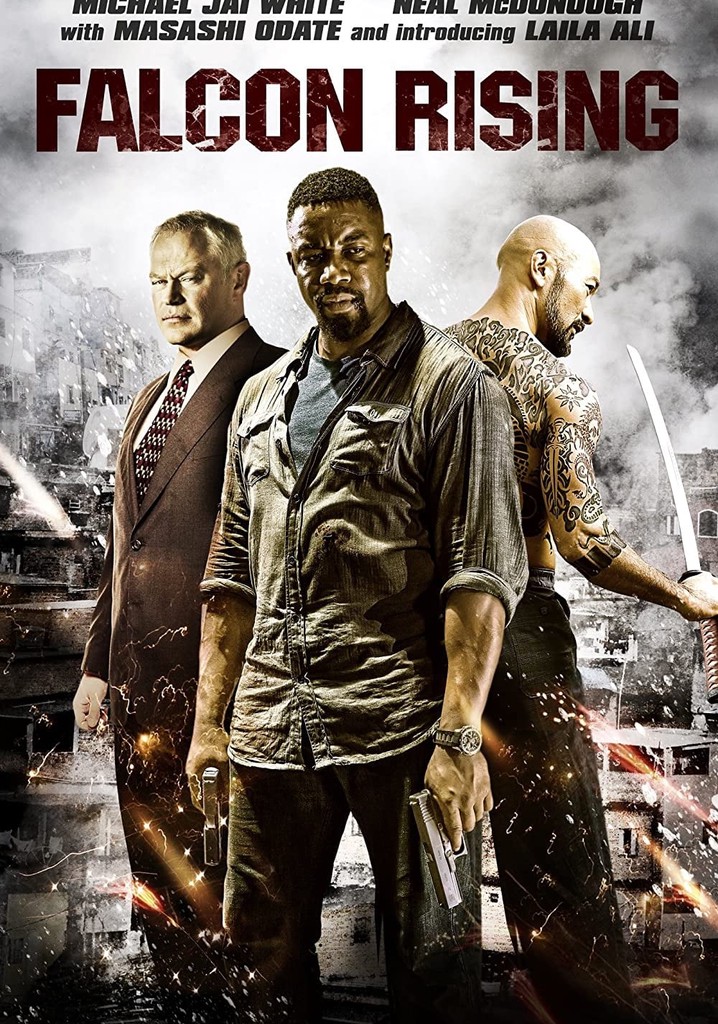 Falcon Rising poster