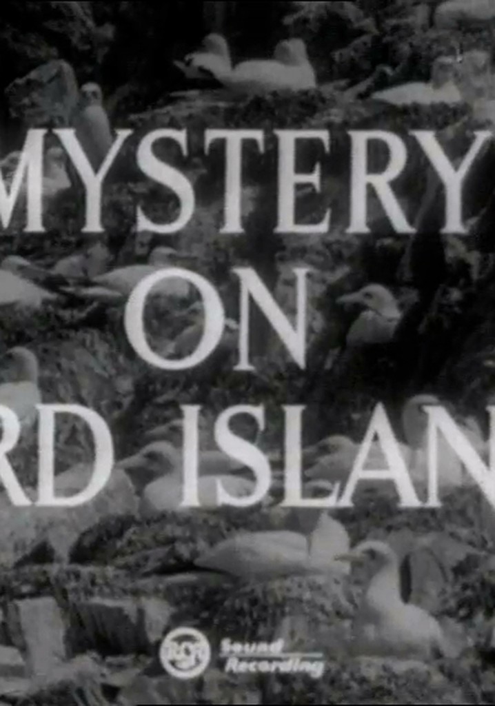 Mystery on Bird Island poster