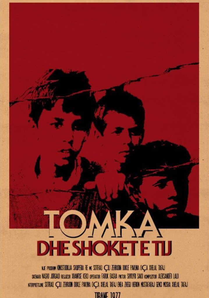 Tomka and His Friends poster