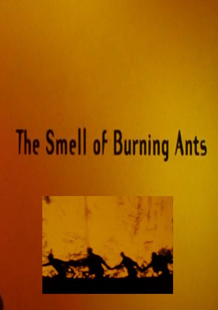 The Smell of Burning Ants poster