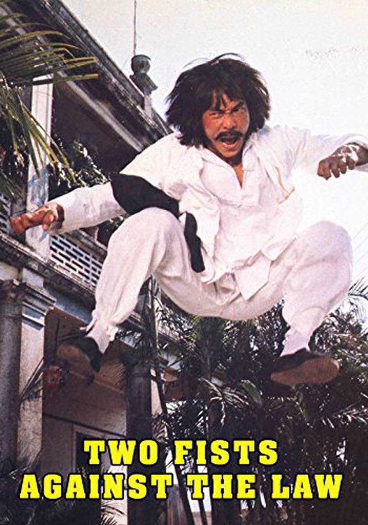 Two Fists against the Law poster