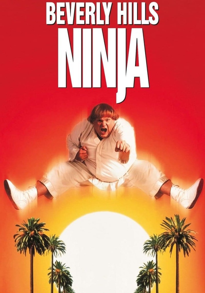 Beverly Hills Ninja poster