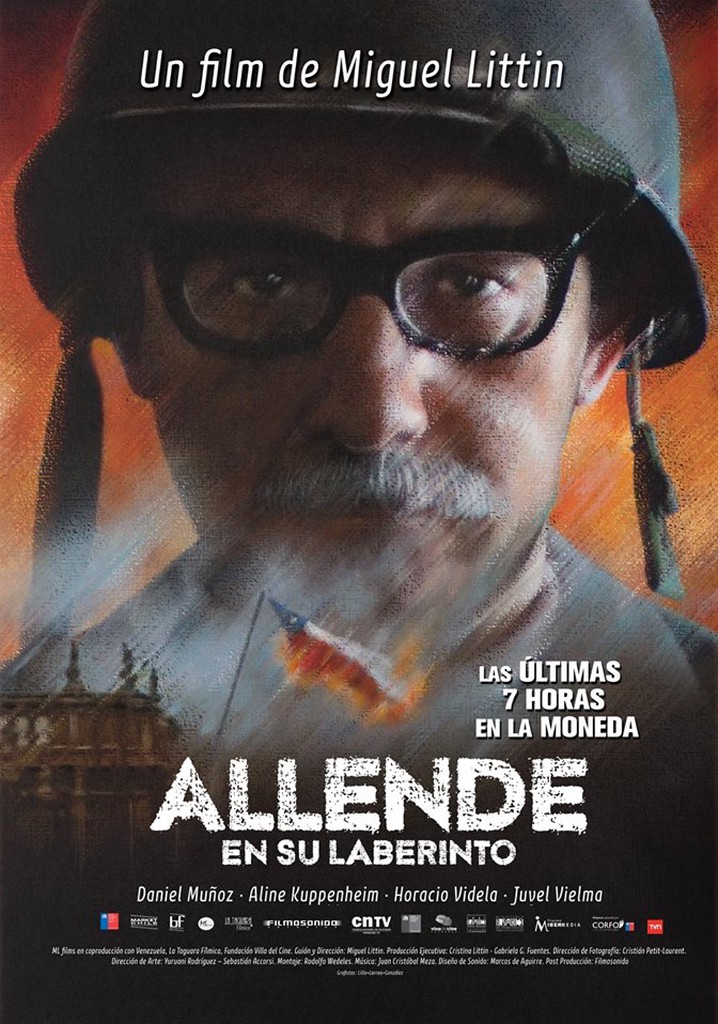 Allende en su laberinto poster