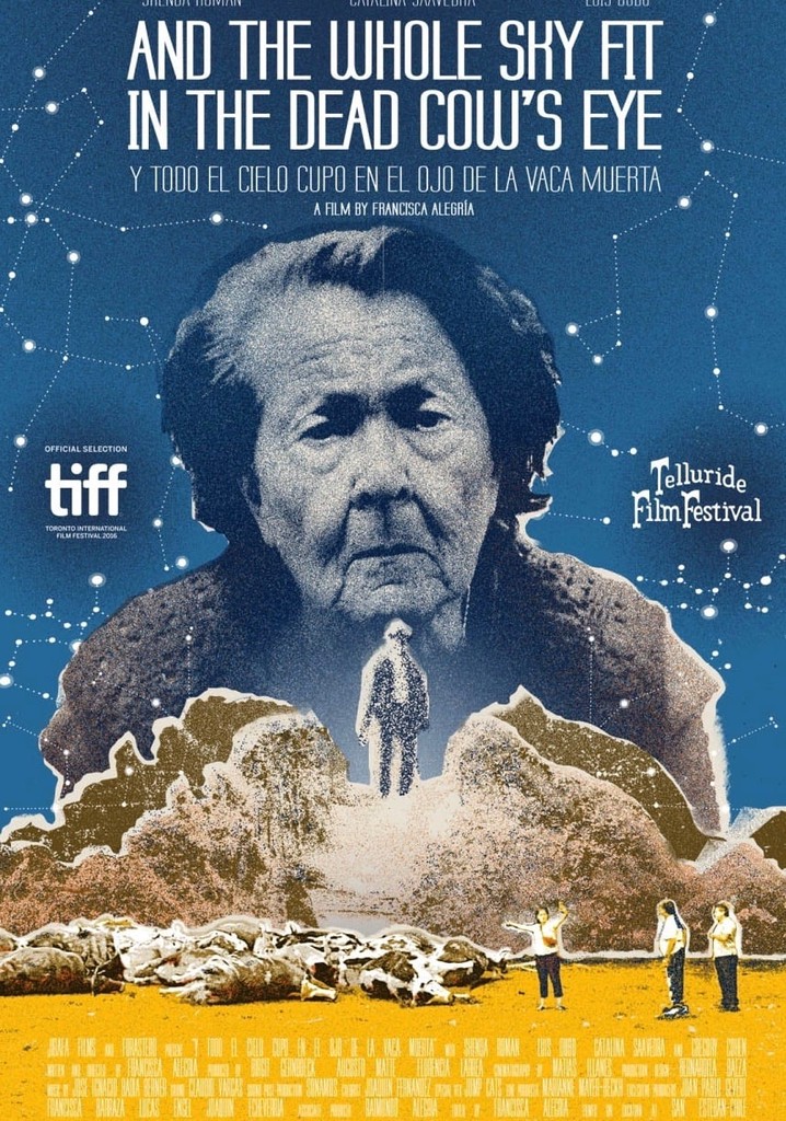 And the Whole Sky Fit in the Dead Cow's Eye poster