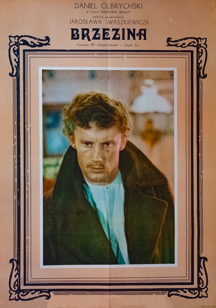 The Birch Wood poster
