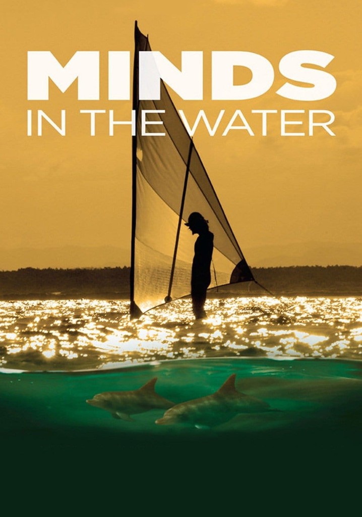 Minds in the Water poster