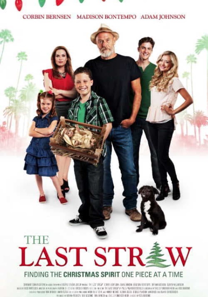 The Last Straw poster