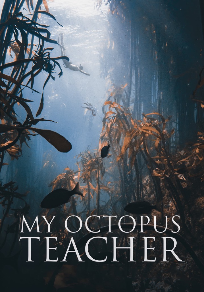 My Octopus Teacher poster