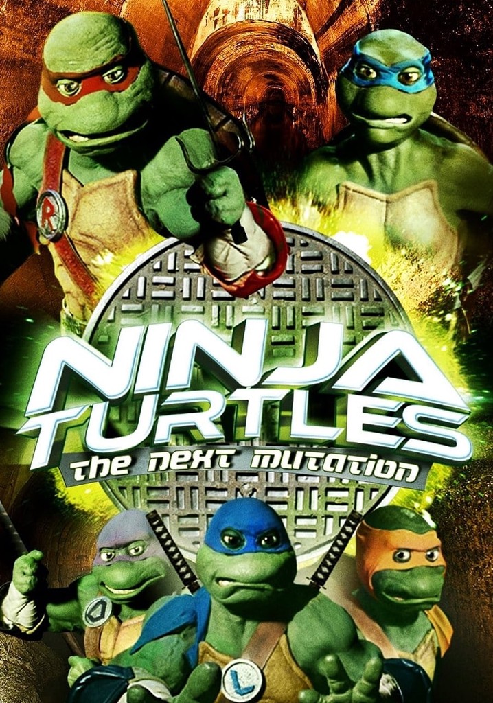 Ninja Turtles: The Next Mutation poster