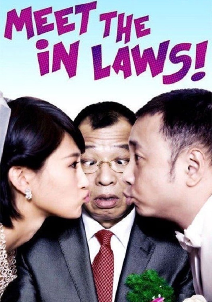 Meet the In Laws poster