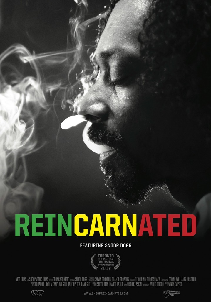 Reincarnated poster