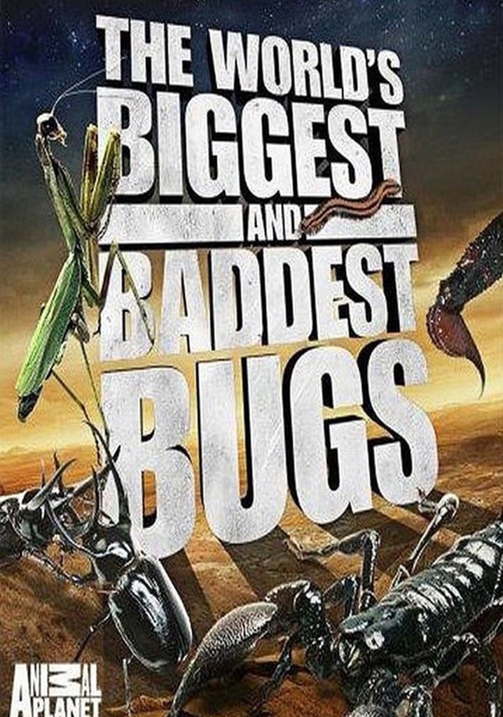 The World's Biggest and Baddest Bugs poster