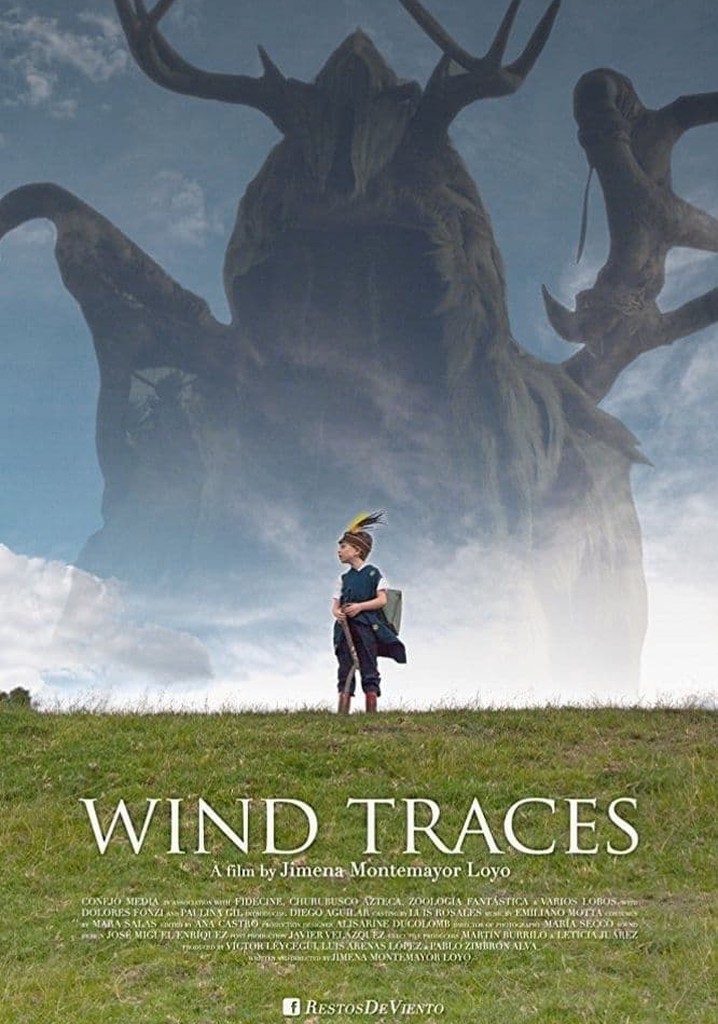 Wind Traces poster
