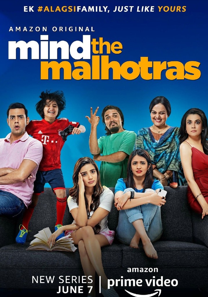 Mind the Malhotras poster