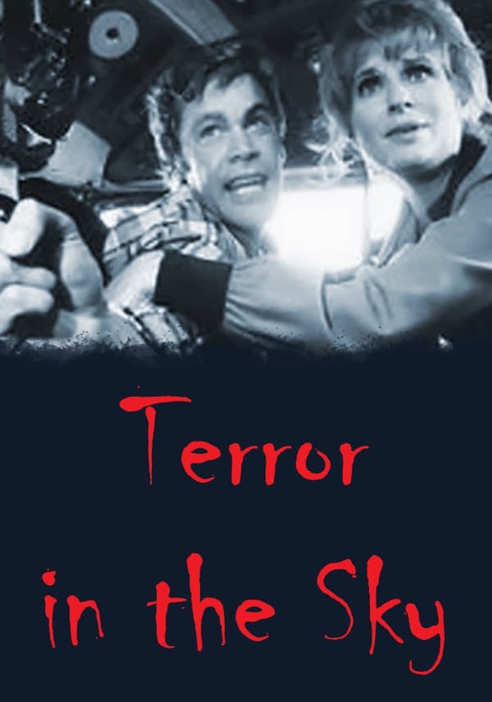 Terror in the Sky poster
